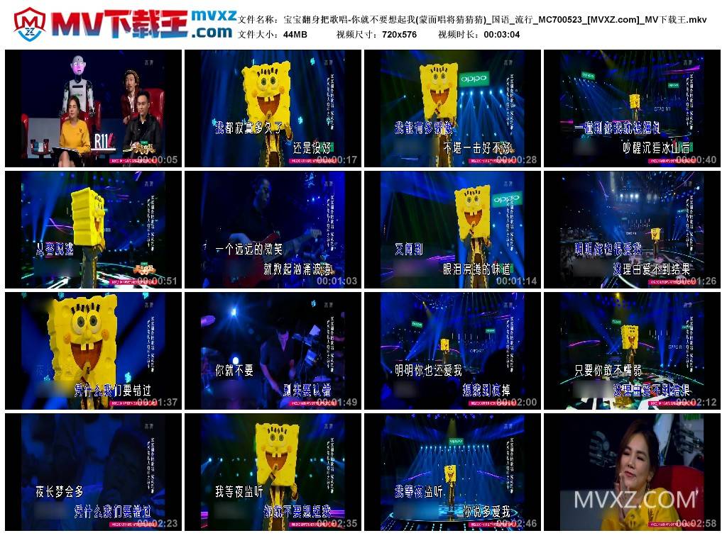 宝宝翻身把歌唱-你就不要想起我(蒙面唱将猜猜猜)_国语_流行_MC700523